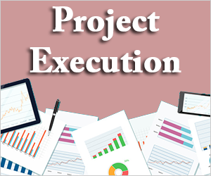 project execution