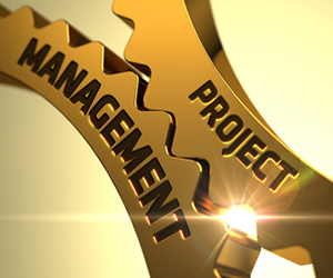 Project Management