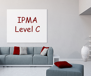 IPMA level C