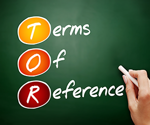 terms of reference